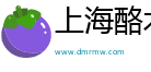 上海酪术